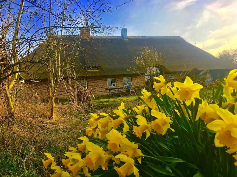 Ferienwohnung Mit Luxusbad, Terrasse Ostseenaehe Gremersdorf Exteriér fotografie