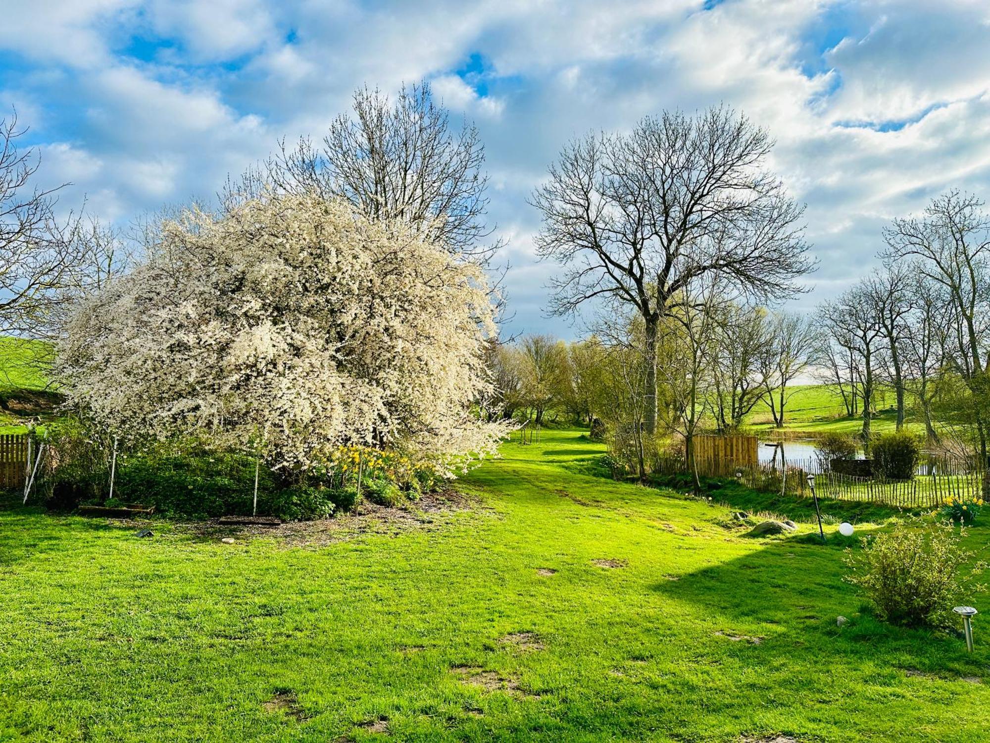 Ferienwohnung Mit Luxusbad, Terrasse Ostseenaehe Gremersdorf Exteriér fotografie